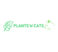 toxic plants for cats